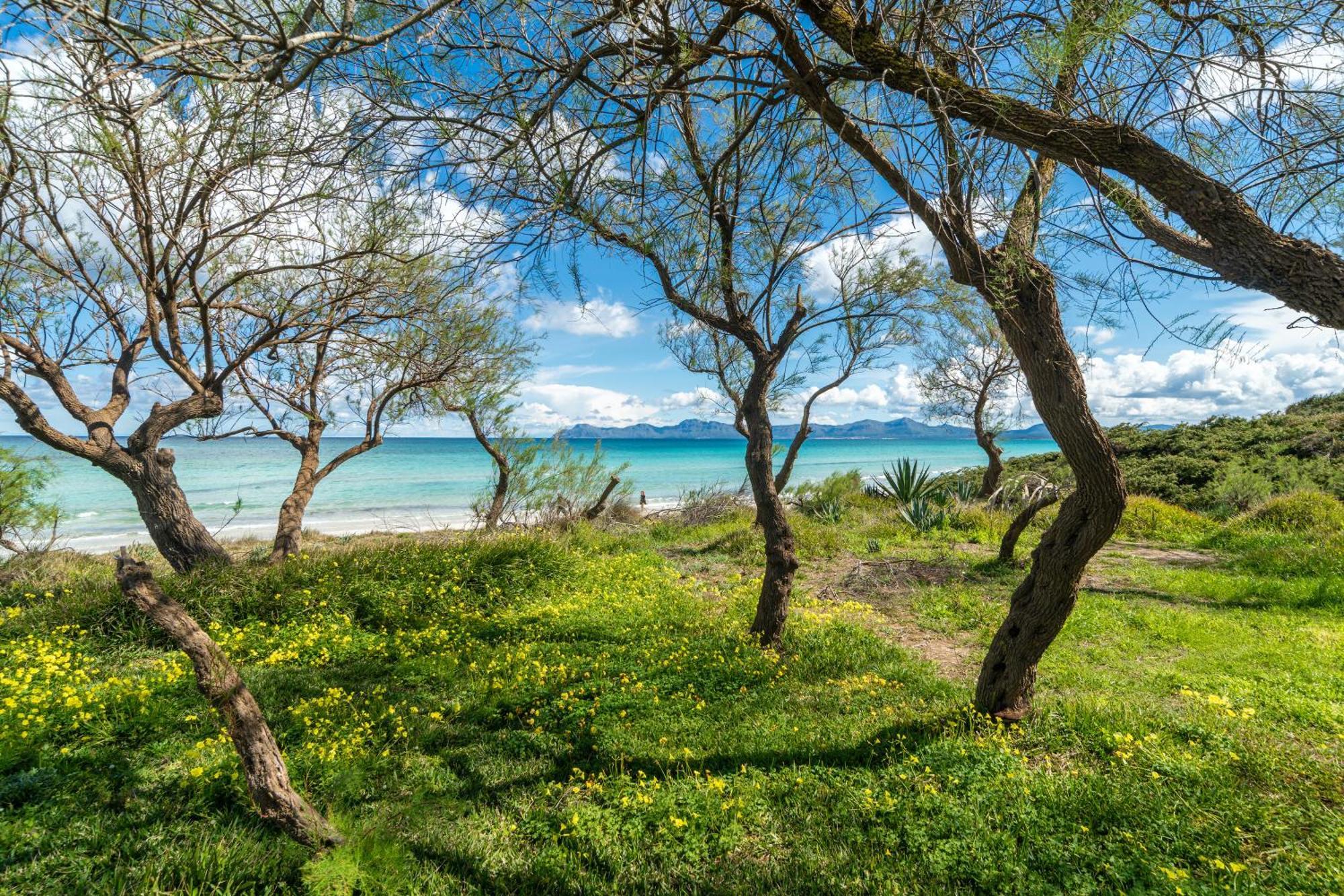 Villa Can Canta Natura Park House At Platja De Muro Beach エクステリア 写真