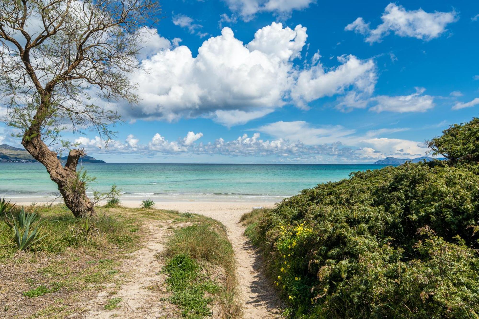 Villa Can Canta Natura Park House At Platja De Muro Beach エクステリア 写真